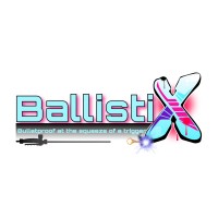 BallistiX Coatings & Sealers logo - Similar company to Bachman Auto Group
