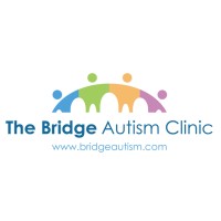 The Bridge Autism Clinic logo - Similar company to Credit Abuse Resistance Education (Care)
