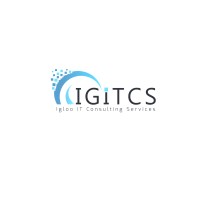 Igloo IT Consulting Services logo - Similar company to Honist Solutions Managed It Consulting Services
