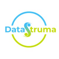 DataStruma logo - Similar company to Conquest Solutions - It & Security Solutions Since 2004