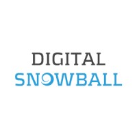 Digital Snowball logo - Similar company to Digital Marketing Managers