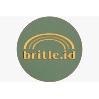 Bridge the Learn logo - Similar company to Bridge To Learn