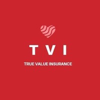 True value insurance logo - Similar company to True Insurances