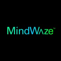 MindWaze® logo - Similar company to Brysk Solutions, Inc.