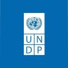 UNDP Palestinian logo - Similar company to Palestine E-Sports Federation