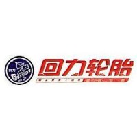双钱集团（安徽）回力轮胎有限公司