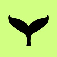 Loyalde logo - Similar company to Netflow