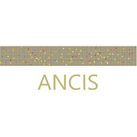 ANCIS logo - Similar company to Ancis