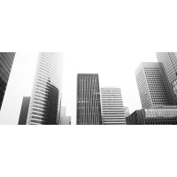 Commercial Solutions For You Inc. logo - Similar company to D3H Hotels Inc.