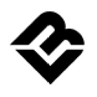 Belmont Ventures Limited logo - Similar company to Nacropolis Group