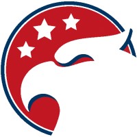 USA Core Values logo - Similar company to Connection Group Usa
