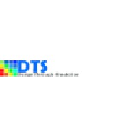 Design Through Simulation Co., Ltd