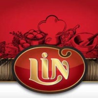 Comercial e Industrial Lin Ltda logo - Similar company to Oca Alimentos
