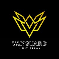 VANGUARD FT SDN BHD logo - Similar company to Elite Infinity