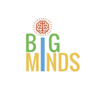 Big Minds logo - Similar company to Momentum Impulsa