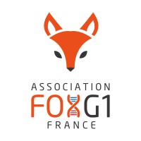 Association FOXG1 France logo - Similar company to Foxg1 (Brain Factor 1) Foundation Australia