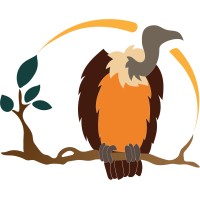 The Last Vulture logo - Similar company to The Wine Boost
