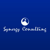 Synergy Consulting Services logo - Similar company to Nicular