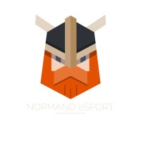 NORMAND eSPORT logo - Similar company to Team Havok