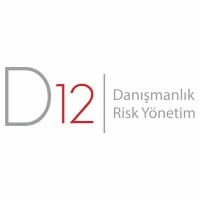 D12 Danışmanlık logo - Similar company to D12 Consulting