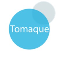 Tomaque Digital Services logo - Similar company to Digital Affluent