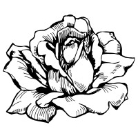 Elisabeth Rose logo - Similar company to Music City Scale