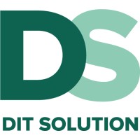 DIT Solution logo - Similar company to D It Solutions