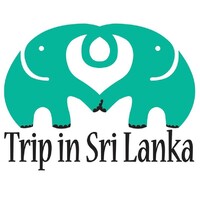 Trip in Sri Lanka logo - Similar company to Tvec, Inc.