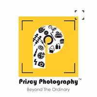 Priscy Photography logo - Similar company to Intercut Studios