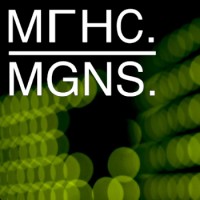 MGNS. logo - Similar company to Id Lock As