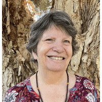 Sue Bushell logo - Similar company to Successful Minds Institute