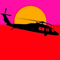 Endless Summer Aviation logo - Similar company to Pickering Aviation, Inc.
