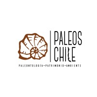 PaleosChile logo - Similar company to Cinnda