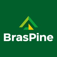 BrasPine logo - Similar company to Arauco Brasil