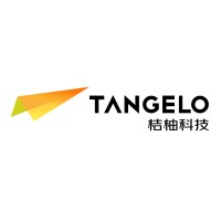 Tangelo Tech logo - Similar company to Adamiani