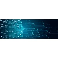 YOUNG DATA logo - Similar company to Nimiscient