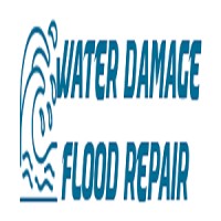 AAA Water Damage Restoration Anaheim logo - Similar company to 770 Water Damage & Restoration