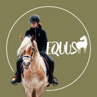 Equus Design Graphique logo - Similar company to Studio Rita Design