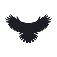 Wings Foundation