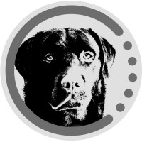 GSC HLS Consulting GmbH & Co.KG