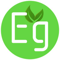 Evergroup logo - Similar company to Evergroup Ict Services