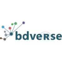 bdverse logo - Similar company to Siftlink Sa