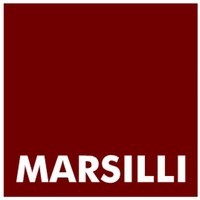 Marsilli Mexico logo - Similar company to Jaguarep. Electronics Rep. Mexico