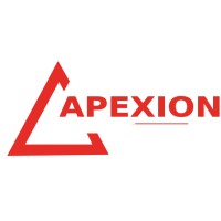 Apexion Digital Services logo - Similar company to Ecommerce Hub