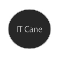 IT Cane logo - Similar company to #Tech Managed It Services