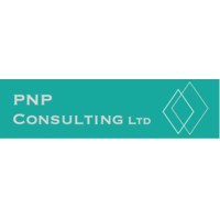 PNP Consulting Ltd logo - Similar company to Png Consulting Gestion Privée