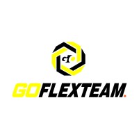 Go Flexteam logo - Similar company to Goflex