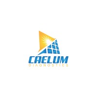Caelum Diagnostics logo - Similar company to Caelum Diagnostic Solutions