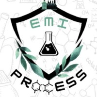 EMI Process logo - Similar company to Emi Energie