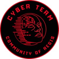 Cyber Team logo - Similar company to Sn Technologies